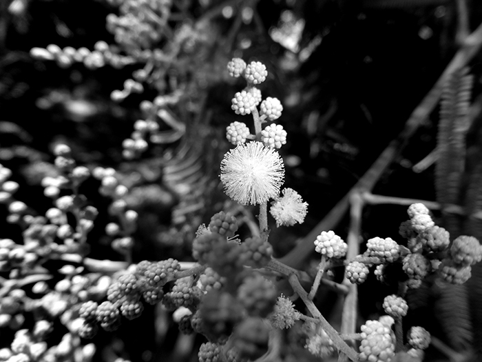 Natural Landscapes 8